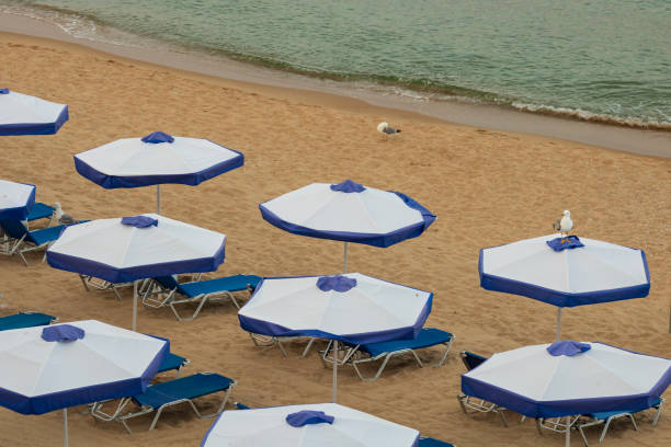 istock Beach deckchairs with umbrellas at tropical relax beach 2202343493