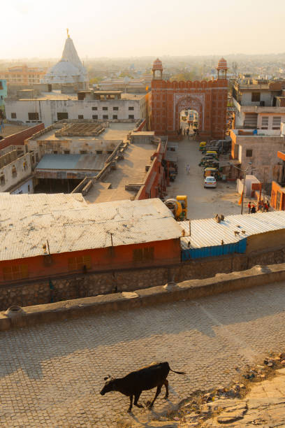 High angle  view of Jaipur, India at sunset