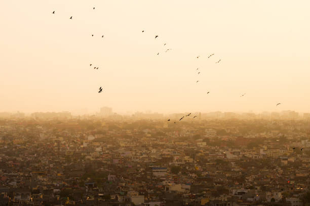 istock High angle  view of Jaipur, India 2202349391
