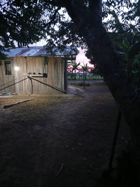 istock farmhouse in the amazon 2202351844
