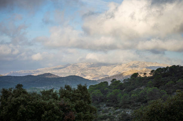 istock Panoramic view on pinewood from trail to Pinsapo de las Escaleretas 2202352213