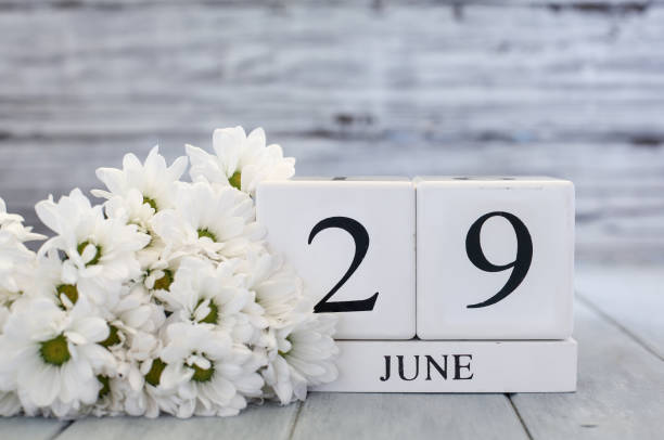 istock June 29th Calendar Blocks with White Daisies 2202352275