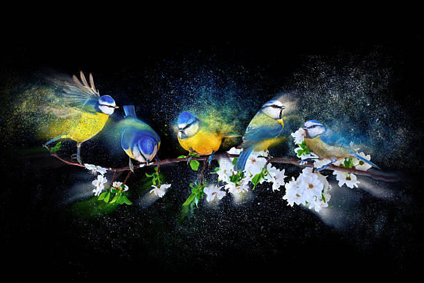 A wonderful arrangement that tells the story of nature's power and destruction together.