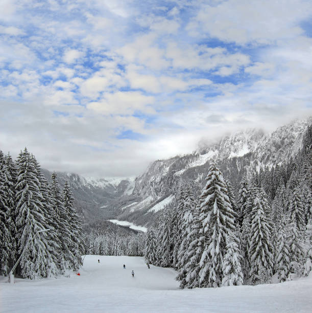 A wide-angle landscape shot of a massive, snow-blanketed mountain range beneath a brilliant, deep blue sky. The foreground highlights the unique wind-blown textures and ripples in the snow, leading the viewer's eye toward several sharp, sunlit peaks. The image evokes a sense of cold, quiet majesty and the vastness of the alpine wilderness, perfect for travel, adventure, and nature-themed projects.