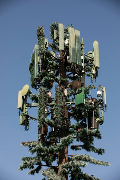 Comm Tree Tower 80+ Repeater Tower Camouflage Communications Tower Tower Stock Photos ...