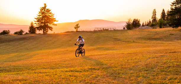 Professional mountain bike cyclist riding a forest trail at sunset. . High quality photo