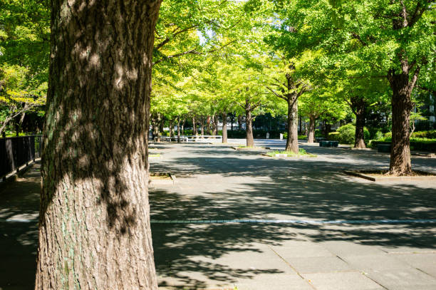 istock Scenery of Nerima Ward Natsugumo Park 2202378472