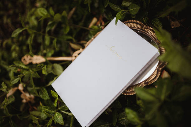 Close-up of an open book (notebook) on a green background. Shallow depth of field, space for copy. Can illustrate the concept of reading, education.