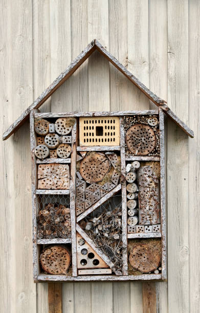 A handcrafted wooden insect house designed with natural materials, providing shelter for various insect species, mounted against a rustic wooden background.