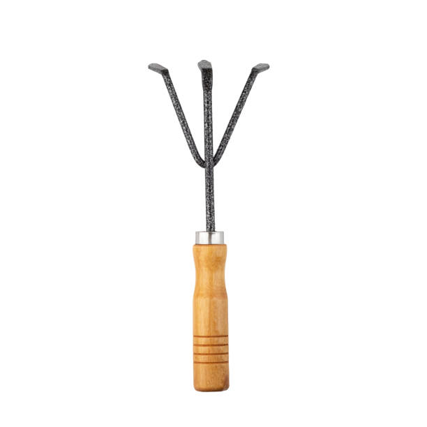Gardening tool with wooden handle isolated on a white background