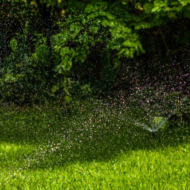 istock Bright water in sunny garden 2202383347