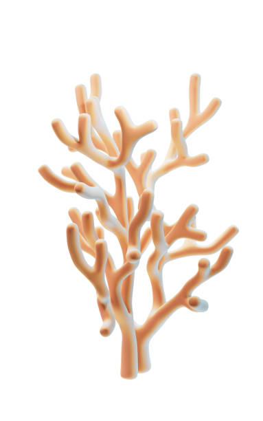 istock Coral underwater with cartoon style, 3d rendering. 2202385253