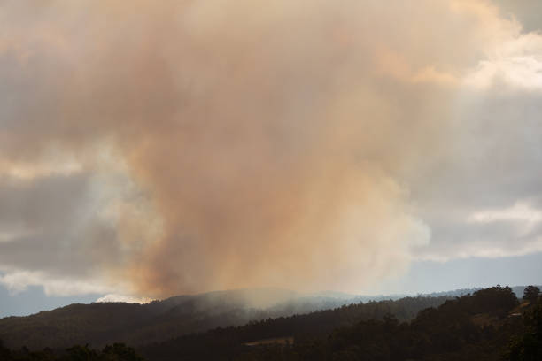 Outdoor view of large smoke cloud rising into the sky from a wild bushfire burning in the Snug Tiers, south of Hobart