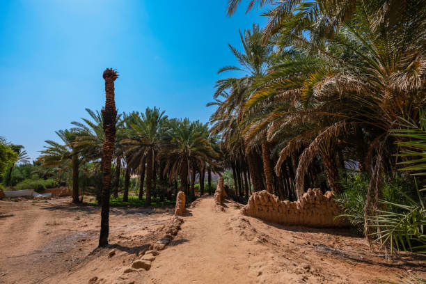 istock The oasis features stunning rock formations, palm groves : AlUla Oasis 2202389504