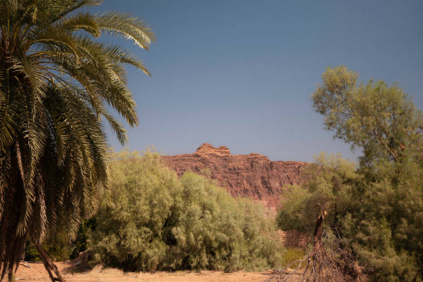 istock The oasis features stunning rock formations, palm groves : AlUla Oasis 2202389511