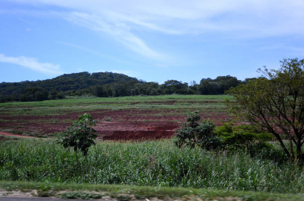 Next to the highway the field with plowed red earth
