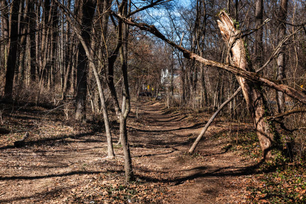 Winter scene in a rural park