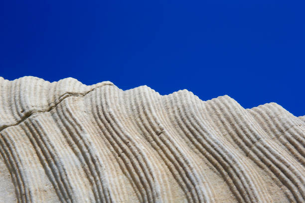 Vintage ornament on the stone. Close-up seamless texture. Stone texture. Pattern on the stone. Embossed pattern.