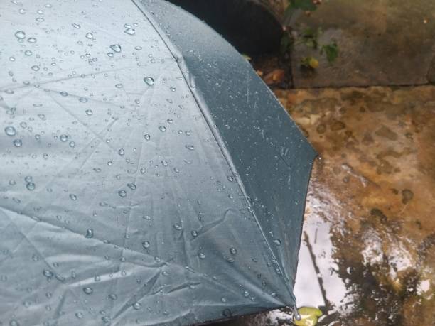 Raindrops wet the army green umbrella.