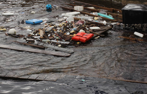 istock Trash and Debris in Bradenton Florida after Hurricane Milton 2202413952