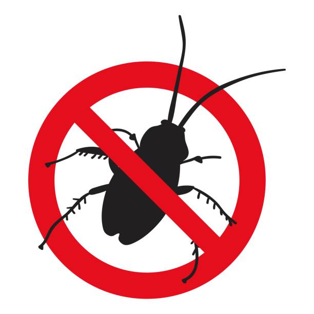 Cockroach Beware Sign 160+ House No Entry Sign Stock Illustrations, Royalty-Free Vector ...