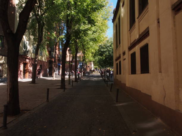 istock Tree-Lined Pedestrian Street in Madrid 2202426080