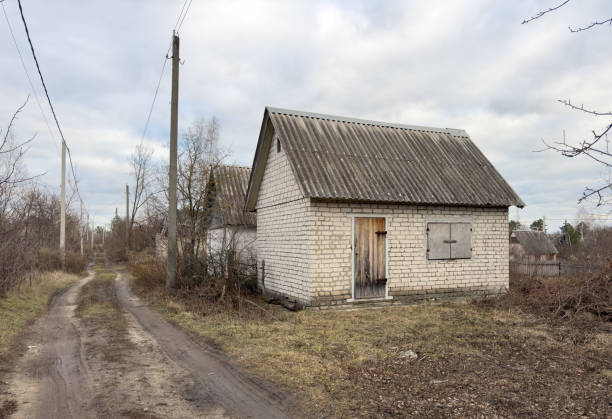 A small, old house with a white roof sits in a field. The house is surrounded by trees and there is a dirt road leading to it. Scene is quiet and peaceful