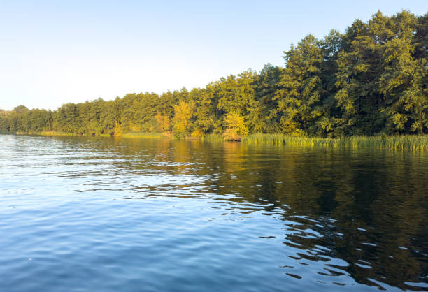 A calm lake with trees in the background. The water is clear and the sky is blue. The scene is peaceful and serene