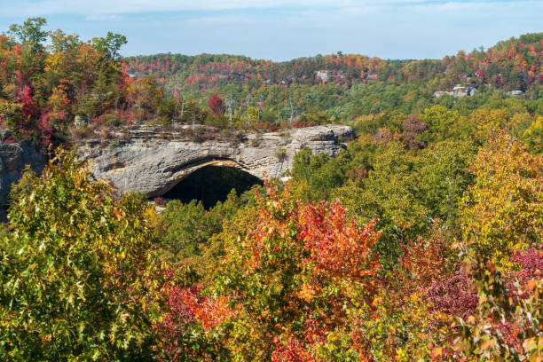 istock Fall Day at Natural Scenic Rock in Daniel Boone National Forest 2202431667