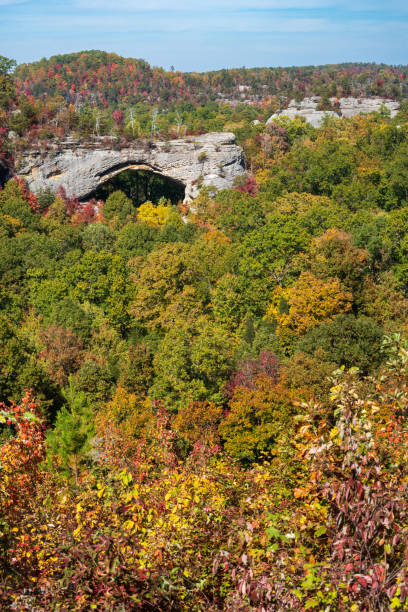 istock Fall Day at Natural Scenic Rock in Daniel Boone National Forest 2202431745