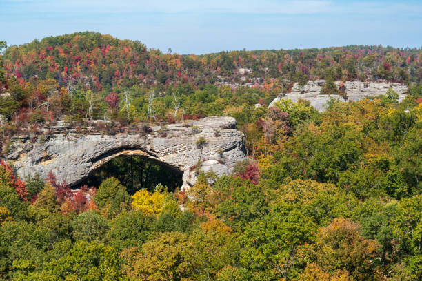 istock Fall Day at Natural Scenic Rock in Daniel Boone National Forest 2202431751