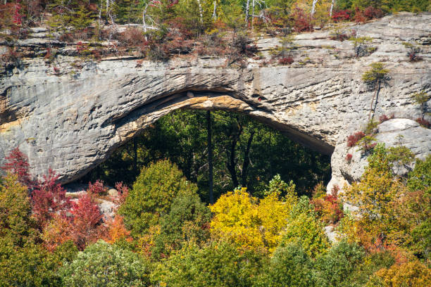 istock Fall Day at Natural Scenic Rock in Daniel Boone National Forest 2202431756