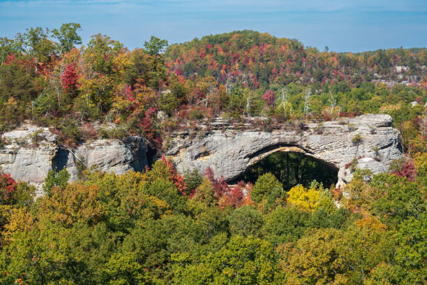 istock Fall Day at Natural Scenic Rock in Daniel Boone National Forest 2202432387