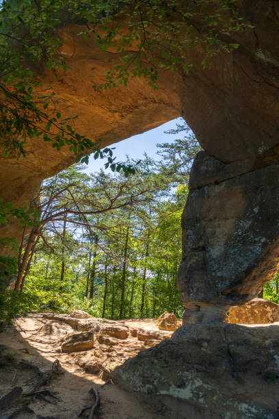 istock The Red River Gorge Geological Area in Kentucky 2202432483