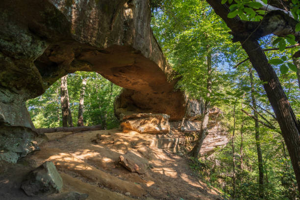 istock The Red River Gorge Geological Area in Kentucky 2202432484