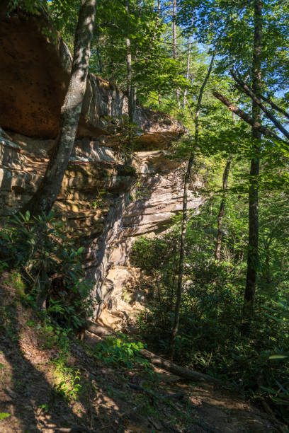 istock The Red River Gorge Geological Area in Kentucky 2202432653