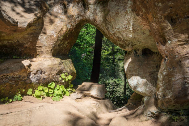 istock The Red River Gorge Geological Area in Kentucky 2202432947