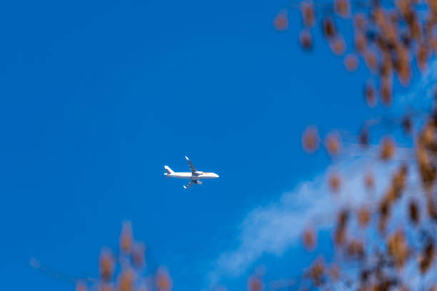 istock A white airplane is flying in the sky 2202433183