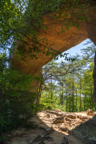 istock The Red River Gorge Geological Area in Kentucky 2202433352