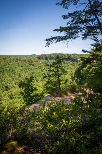 istock The Red River Gorge Geological Area in Kentucky 2202433433