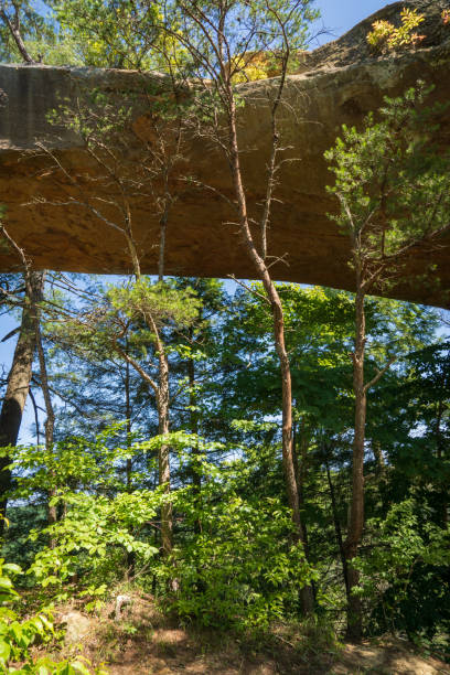 istock The Red River Gorge Geological Area in Kentucky 2202433493