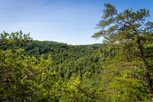 istock The Red River Gorge Geological Area in Kentucky 2202433779