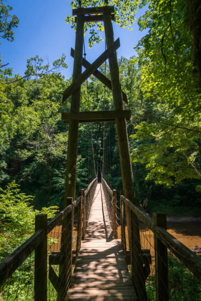 istock The Red River Gorge Geological Area in Kentucky 2202434048