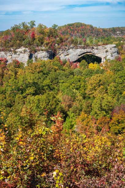 istock Fall Day at Natural Scenic Rock in Daniel Boone National Forest 2202434269