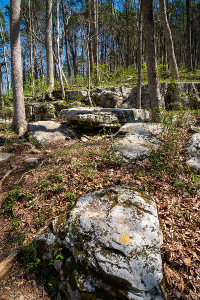 istock Above Ground at Mammoth Cave National Park 2202435355