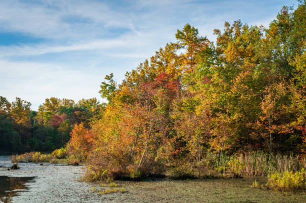 istock The Wetlands at Mammoth Cave National Park 2202436833