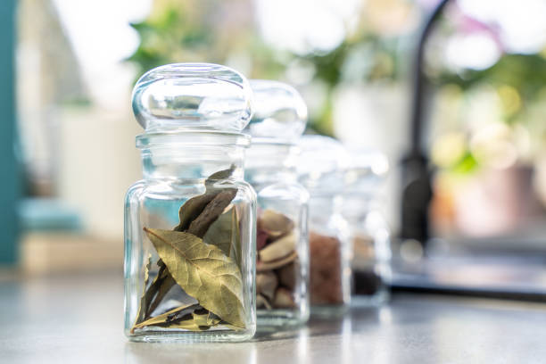 A row of glass spice jars containing dried herbs and spices, neatly arranged on a kitchen countertop with soft natural light.