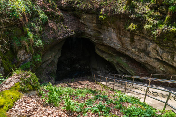 istock Staircase at Mammoth Cave National Park in Kentucky 2202438346
