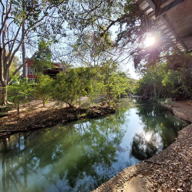 istock A beautiful clear stream surrounded by diverse plants 2202439124