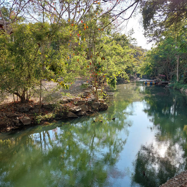 istock A beautiful clear stream surrounded by diverse plants 2202439133